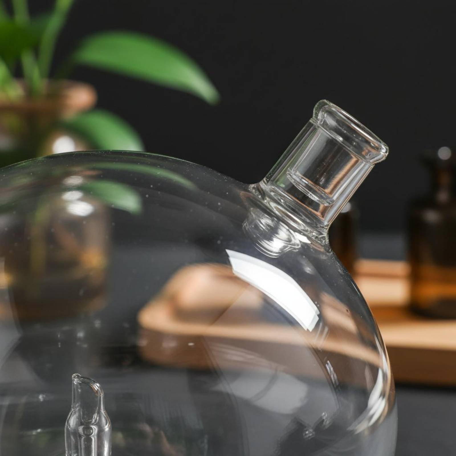 디퓨저 병 물이 없는 향수 디퓨저용 유니버설 핏 유리  - Home Fragrance And Diffuser 리뷰 및 가격